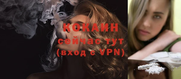 ПСИЛОЦИБИНОВЫЕ ГРИБЫ Гусев