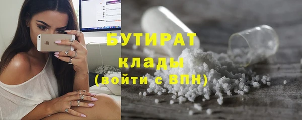 ПСИЛОЦИБИНОВЫЕ ГРИБЫ Гусев