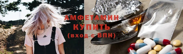 ПСИЛОЦИБИНОВЫЕ ГРИБЫ Гусев